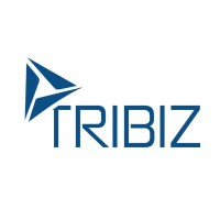TRIBIZ gmbh Logo