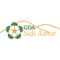 GDA Sidi Amor Logo