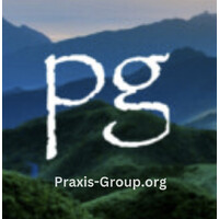 praxis-group LLC Logo