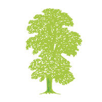 Beech Tree Property Management Logo