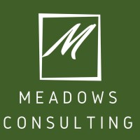 The Lull Doctor / Meadows Consulting Logo