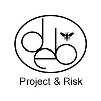 deB Project & Risk Logo
