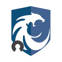 NOISE CIBERSEGURIDAD Logo