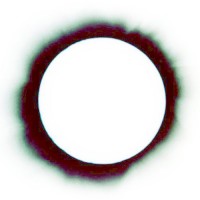 Metroid Capital Logo