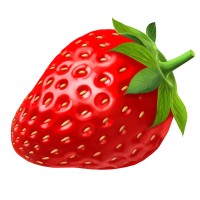 Strawberry Website Design & Hosting Logo