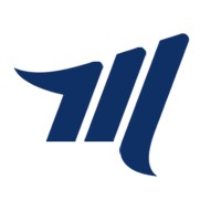 Mega IT Stores Logo