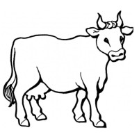 Fazenda Nova Aurora Logo