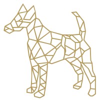 Terrier Capital Management LLC Logo