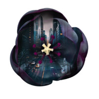 Black Tulip Asset Management Logo