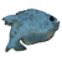 BLUEGILL Restaurant Logo
