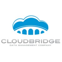 Cloudbridge Solutions Logo