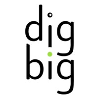 DigBig Logo