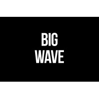 Big Wave Logo
