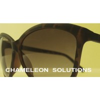 Chameleon Solutions LLC Logo