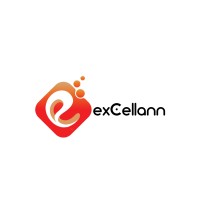 Excellann Services Logo