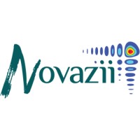 Novazii Company Logo
