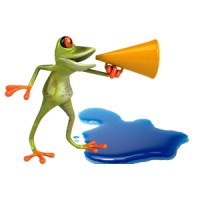 Big Frog Small Pond Logo