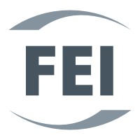 FEI Group Logo