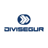 DIVISEGUR Logo