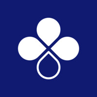 BID Group Mexico Logo