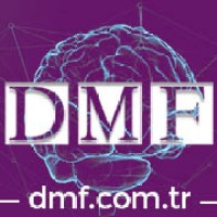 DMF Sistem Bağımsız Denetim ve YMM A.Ş Logo