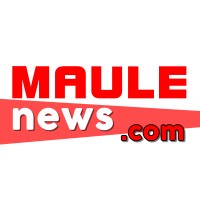 Maule News Logo