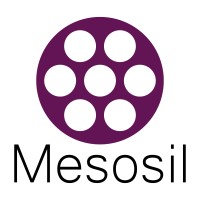 Mesosil Logo