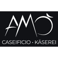 AMÒ Logo