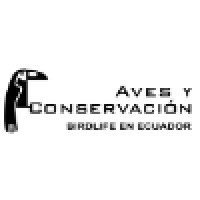 Aves y Conservación / BirdLife en Ecuador Logo