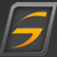 DigitalServer Logo