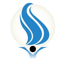 SDF Corp - We are the solution Logo