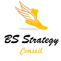 BS Strategy Logo