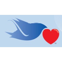 VIP Expert Nurse Consulting, LLC Logo