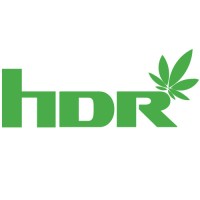 High Desert Relief Logo