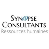 Synapse Consultants Logo