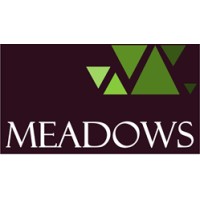 Meadows Services Ltd Logo
