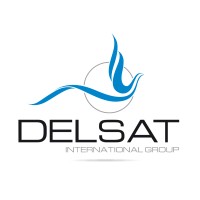 Delsat International Group Logo