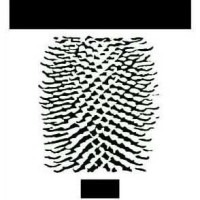 Museo del Tessuto Logo