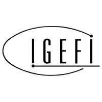 Igefi S.r.l. Logo