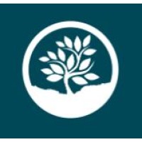 Media Development Foundation Logo