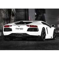 Capristo Exhaust Logo