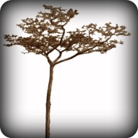 Vision Landscape Supply Logo