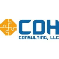 CDH Consulting, LLC Logo