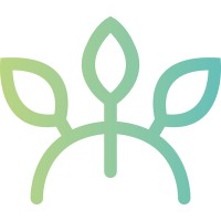 Mangrove Logo