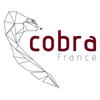 COBRA France Logo