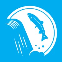 Darby Digital Strategy Logo