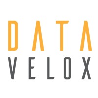 Datavelox Logo