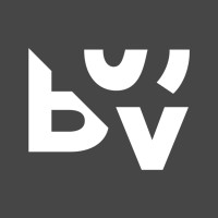 Big Screen Video Logo