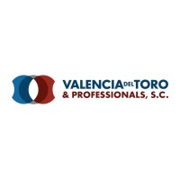 VALENCIA DEL TORO & PROFESSIONALS Logo