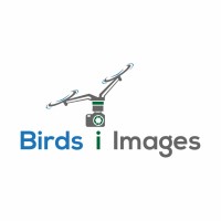 Birds i Images Logo